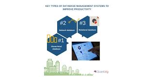 4 Key Types Of Database Management Systems To Improve Productivity