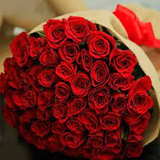 the perfect red roses flower of love
