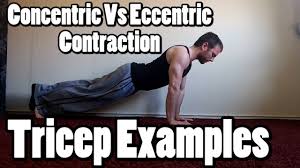 concentric vs eccentric contraction