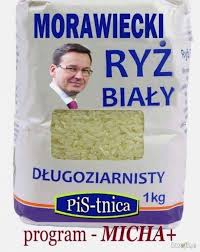 Kubica, miska ryżu i inne wpadki premiera morawieckiego. Miska Ryzu Najlepsze Memy Zdjecia Gify I Obrazki Kwejk Pl