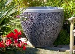 outdoor plants flower barrel pot
