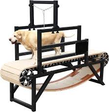 dog treadmill walkable workout