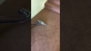 want clean carpets 0800 246 1091 you