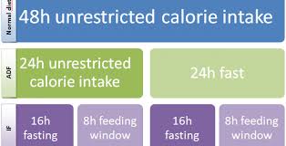 an intermittent fasting schedule for
