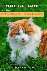 Monikers based on color, folklore names for she who acts like a goddess. 15 Goddess Names For Female Cats Cats Cat Names Cat Parenting