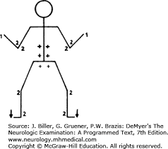 Preparation For The Text Demyers The Neurologic