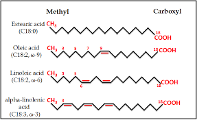 overview about lipid structure intechopen