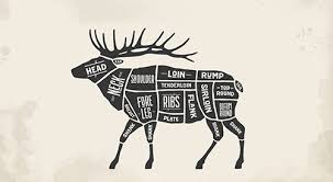 Elk Meat Diagram Schematics Online