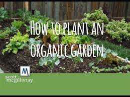 How To Plant An Organic Garden