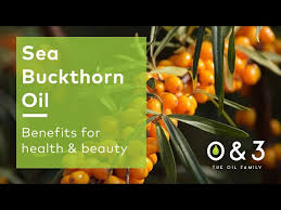 sea buckthorn oil benefits for skin