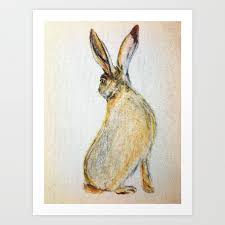 Snowshoe Hare Art Print By The