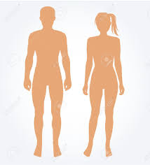 Man And Woman Body Template Vector Illustration Royalty Free