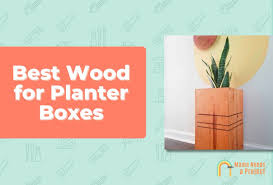 for planter box raised garden beds