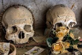 Image result for skull in a cemetery