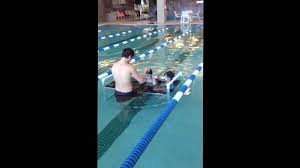 lifetime swim lesson you