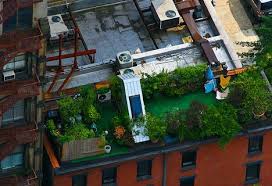 8 Great Urban Green Roofs Designs