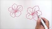 Milhares de fotos novas de alta qualidade são adicionadas todos os dias. How To Draw Hibiscus Simple For Beginners Youtube