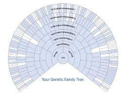 Dna Solutions Genealogical Vs Genetic Family Trees