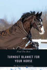 turnout blanket for your horse