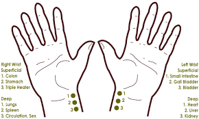 Hand Diagram Chinese Pulse Traditional Chinese Medicine