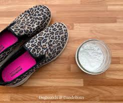 diy shoe powder dogwoods dandelions