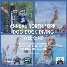 north fork dog dock diving weekend