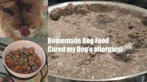 homemade dog food recipe cured my dog