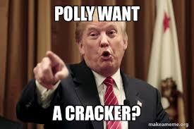 Polly want A cracker? - Donald Trump Says | Make a Meme