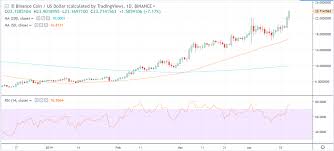 Could Binance Bnb Coin Possibly Reach 100 Valuation This