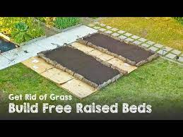 Lawn Into A Raised Bed Garden