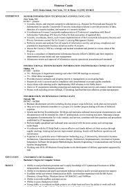 Sap b1 consultant resume sample resumecompanion. Information Technology Consultant Resume Samples Velvet Jobs