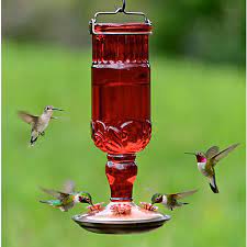 Large Glass Elixir Hummingbird Feeder