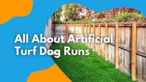 All About Artificial Turf Dog Runs