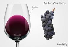 What is Malbec Wine? 4 Amazing Facts About Malbec | Wine Folly