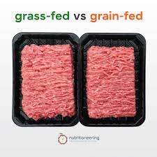 4 oz ground beef protein by percene