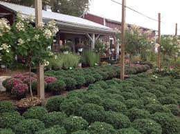 pot house garden center