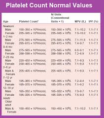 Complete Blood Count Cbc For Nurses Medical Estudy