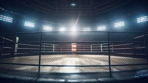 page 26 boxing ring background images