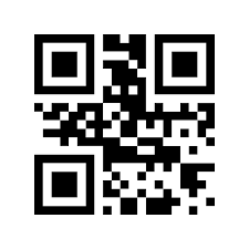 You can specify an amount for the transaction in your qr code. Generate Qr Codes In Python Dev Community