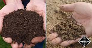 Does compost turn into soil?