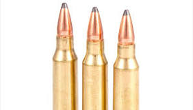 Is the .223 Remington a Good Deer Hunting Cartridge? - North ...
