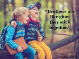These funny brother and sister quotes will remind you to reluctantly appreciate the siblings who probably drove you crazy growing up. 81 Brother Quotes For Your Strong Brotherly Bond Lovetoknow