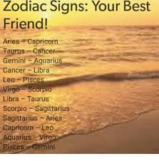 Therefore, they retreat into their shells and say very little. Zodiac Signs Your Best Friend Aries Capricorn Taurus Cancer Gemini Aquariu Cancer Libra Leo Pisces Virgo Scorpio Libra Taurus Scorpio Sagittarius Sagittarius Aries Capricorn Leco Aquariusvirgo Piscesgemini Best Friend Meme On Me Me