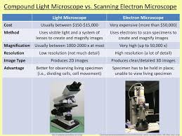 Proper Use Of Compound Light Microscope Pogot