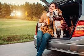 Best Cars For Dog Owners In 2019