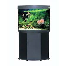 Fish tanks direct specializes exclusively in freshwater aquariums and saltwater fish tanks. Corner Aquarium With Stand You Ll Love In 2021 Visualhunt