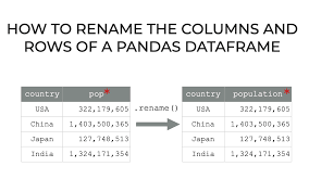how to rename dataframe columns with