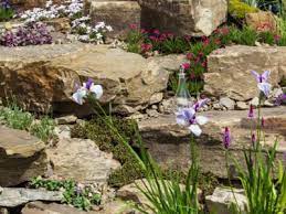 Planting A Rock Garden With Full Sun
