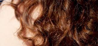 why humidity makes your hair curl