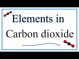 elements in carbon dioxide you